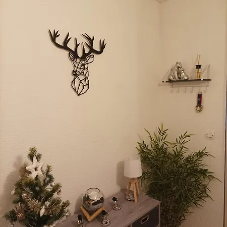 Luz Nature * 뤼생소베르